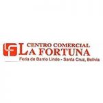 27-Centro-Comercial-La-Fortuna